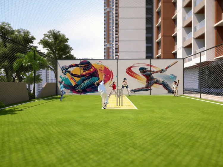 Cricket Court